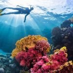 Circuit culturel Égypte Voyage authentique Histoire pharaonique